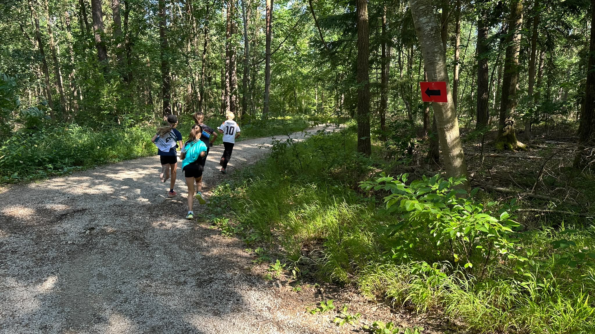 Eine Gruppe von Schülerinnen und Schülern läuft von hinten auf einem Waldweg an einem roten Richtungspfeil vorbei.